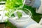 Gloved hands of researcher dropping liquid substance on green leaf in petri dish