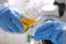 Gloved scientist pours yellow oily liquid from flask into test tube.