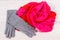 Gloves and shawl on board, warm womanly clothing for autumn or winter