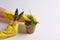 gloves yellow greens potted flower planting tools