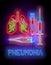 Glow Human Lungs with Pneumonia, Virus Contamination