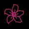 Glowing Adenium Flower Line Art. One Line Artwork, Pink Color Design,  Minimalist Contour Drawing