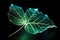 glowing artificial leaf representing energy conversion