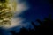 Glowing bamboo night sky with clouds and stars