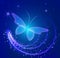 Glowing blue background with magic butterfly.Transparent background.