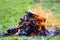 Glowing bonfire on nature. Burning wooden planks outside on summer day. Bright orange flames, light smoke and dark ashes on green