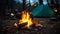 Glowing campfire illuminates dark forest during summer night generated by AI