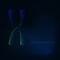 Glowing X chromosome on dark blue background. Genetic engineering concept.