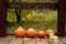 Glowing evil pumpkin in a row with pumpkins on a wooden old floor in the autumn Park , the composition for Halloween