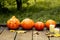 Glowing evil pumpkin in a row with pumpkins on a wooden old floor in the autumn Park , the composition for Halloween