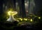 Glowing Fairy and Mushrooms in an Enchanted Magical Forest