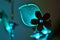 Glowing flower, which is Christmas decoration