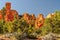 Glowing Hoodoos of Red Rock Canyon