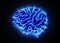 Glowing Human Brain on Black Background