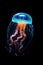 Glowing jellyfish on black background