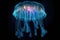 glowing jellyfish suspended in dark ocean depths