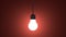 Glowing light bulb in lamp socket hanging on red