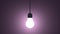 Glowing light bulb in lamp socket hanging on violet