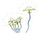 Glowing magic mushrooms toadstools. Humorous drawing of a watercolor. Isolated on a white background