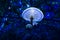 glowing mushroom