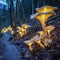 Glowing Mushrooms in the Forest