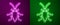 Glowing neon line Cockroach icon isolated on purple and green background. Vector