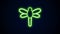 Glowing neon line Dragonfly icon isolated on black background. 4K Video motion graphic animation