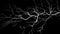 Glowing Neuron in the Dark, Made with Generative AI
