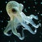 Glowing Octopus Swimming in Deep Sea