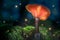 Glowing orange mushrooms on moss in forest with fireflies