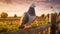 Glowing Pigeon On Wooden Fence: Nature-inspired Precisionist Style