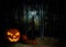 Glowing pumpkin in a dark mystic halloween forest under the moon