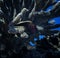 Glowing Red Eye of Hawkfish in Coral Underwater