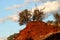 Glowing red rock face and bush