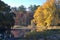 Glowing Reflections Peaceful Autumn Morning Landscape