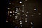 Glowing small dots on a black background, a flock of moths in the night light lantern