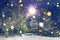 Glowing snowflakes fall in winter night park. Theme of Christmas and New Year. Winter scene of night park in snow