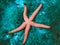 A glowing starfish in the Mediterranean Sea relaxing