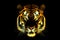 Glowing tiger portrait, Generative AI