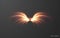 Glowing wing vector effect