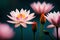 glowing zen water lily Or lotus flowers background