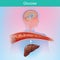 Glucose is a sugar that the body creates naturally by chemical process from the liver. Glucose is important to various cells.