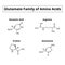 The glutamate family of amino acids. Chemical molecular formulas of amino acids glutamate, glutamine, arginine, proline