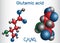 Glutamic acid L- glutamic acid, Glu, E aliphatic amino acid molecule. Molecule model