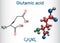 Glutamic acid L- glutamic acid, Glu, E aliphatic amino acid molecule. Structural chemical formula and molecule model