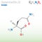 Glutamine (Gln, Q) amino acid molecule. (Chemical formula C5H10N2O3)