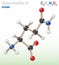 Glutamine (Gln, Q) amino acid molecule. (Chemical formula C5H10N2O3)