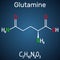 Glutamine Gln , Q amino acid molecule. Structural chemical formula on the dark blue background