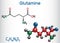 Glutamine Gln , Q amino acid molecule. Structural chemical formula and molecule model