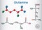 Glutamine Gln , Q amino acid molecule. Structural chemical formula and molecule model. Sheet of paper in a cage